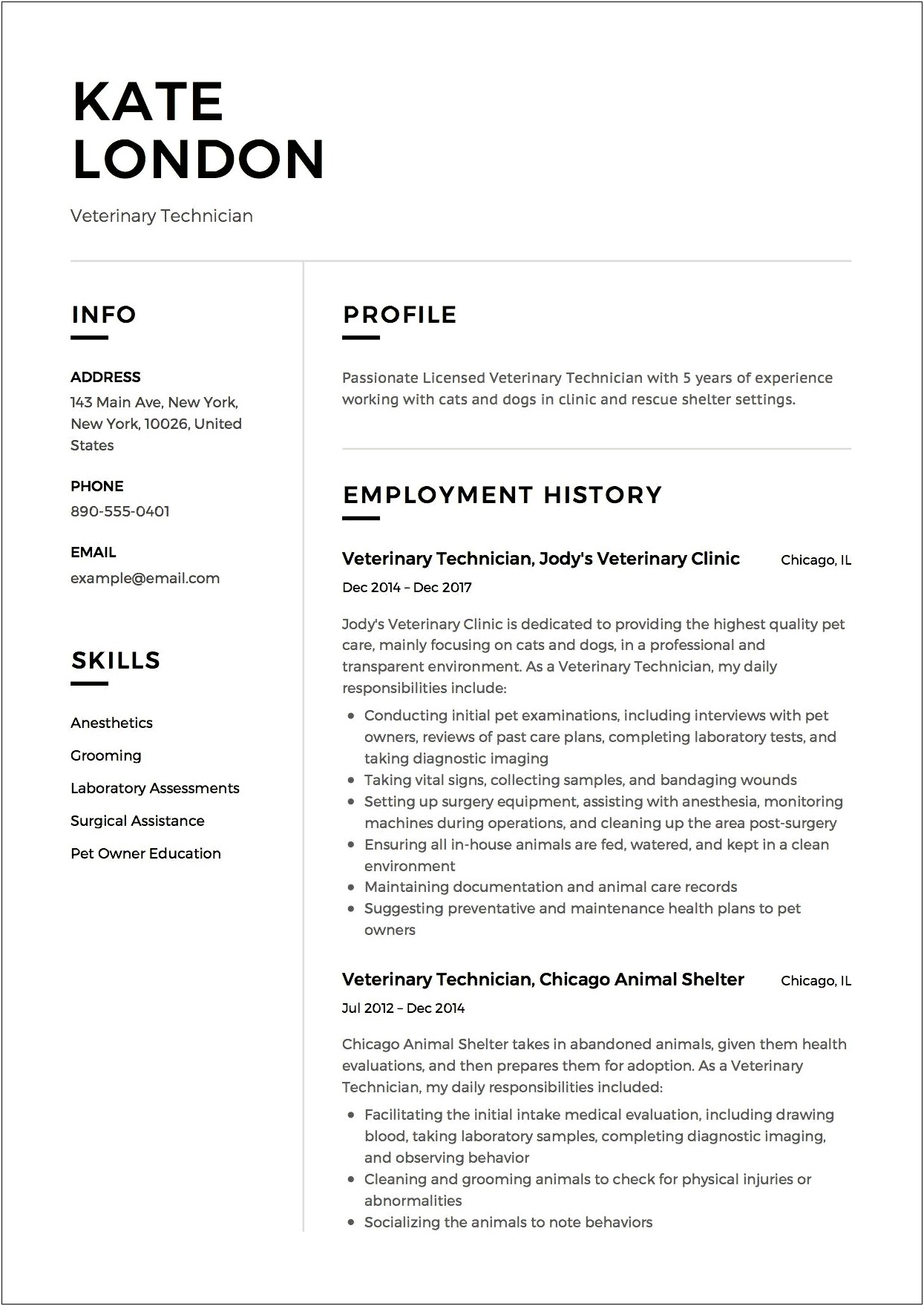 Rvt Job Description For Resume