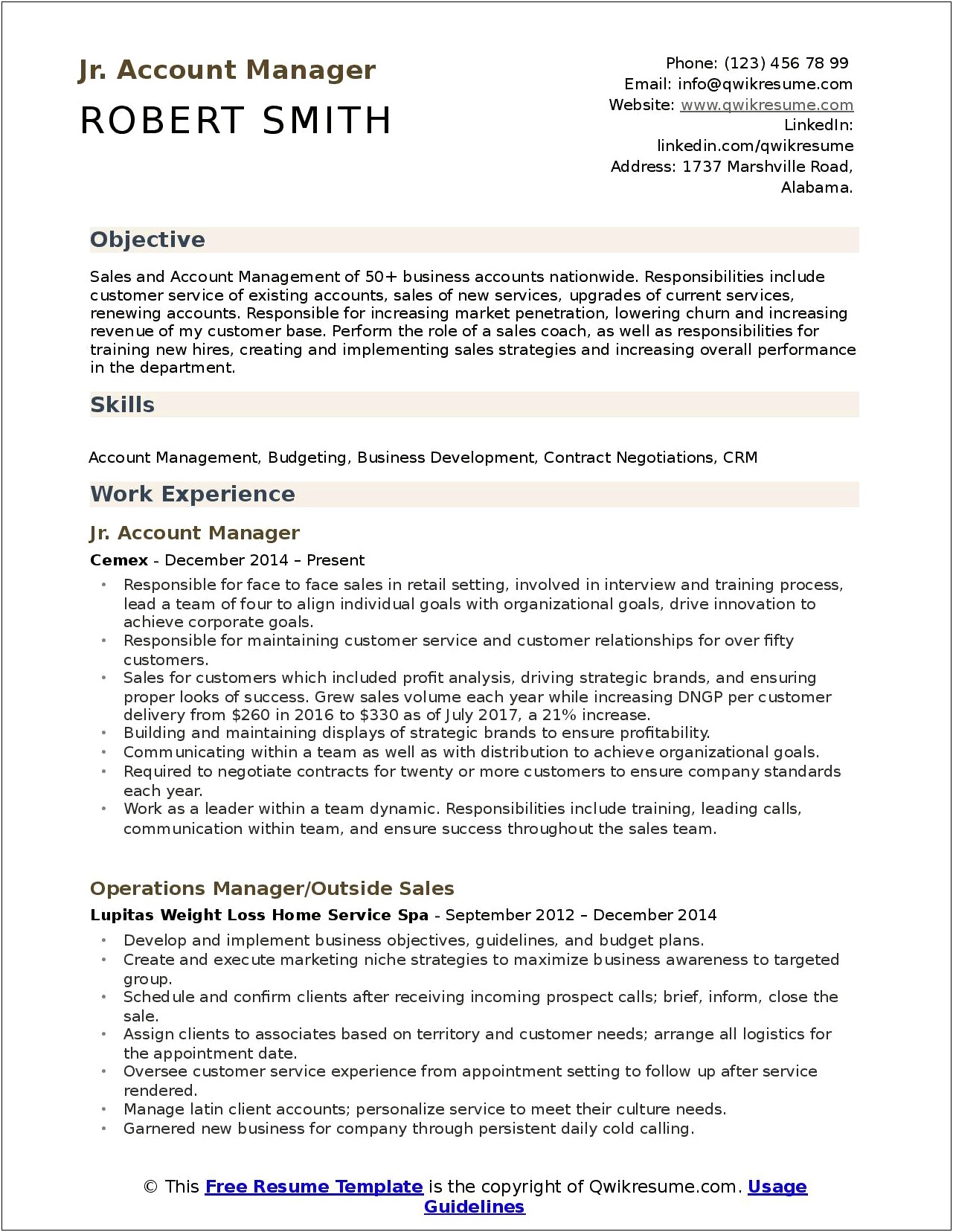 Sales Account Manager Resume Format