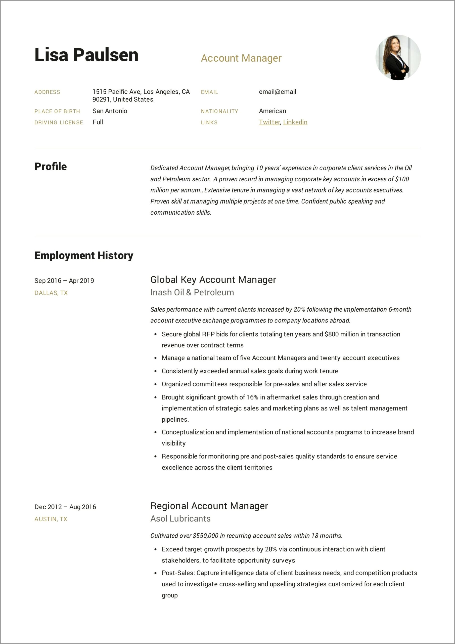 Sales Account Manager Resume Templates