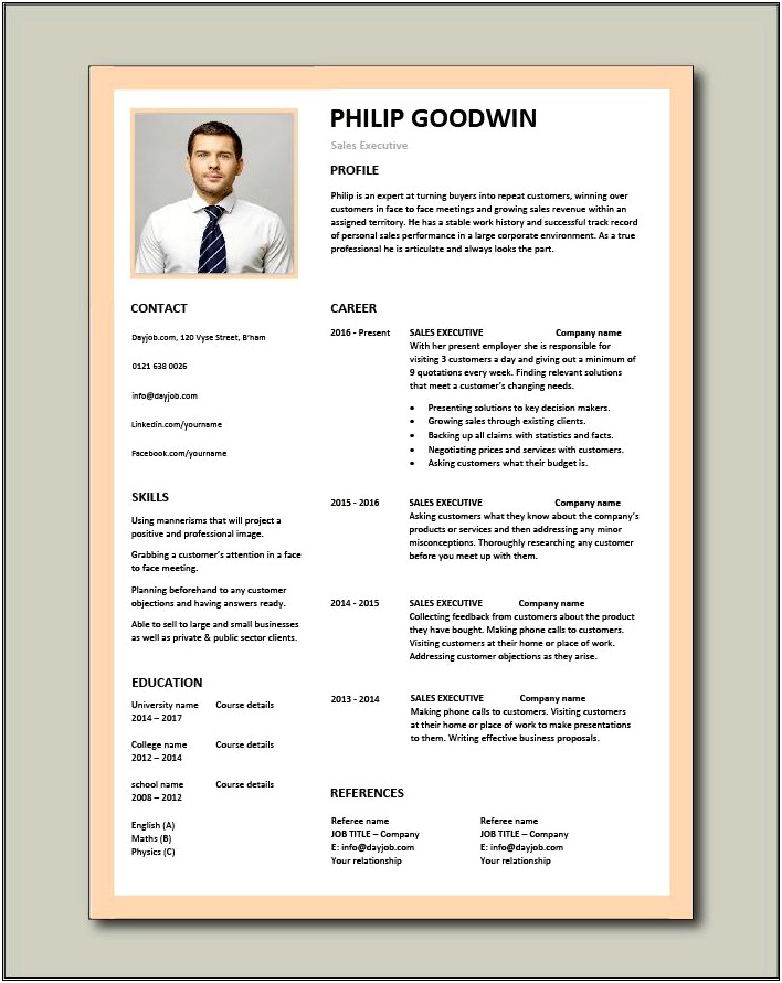 Sales And Marketing Resume Pdf Template