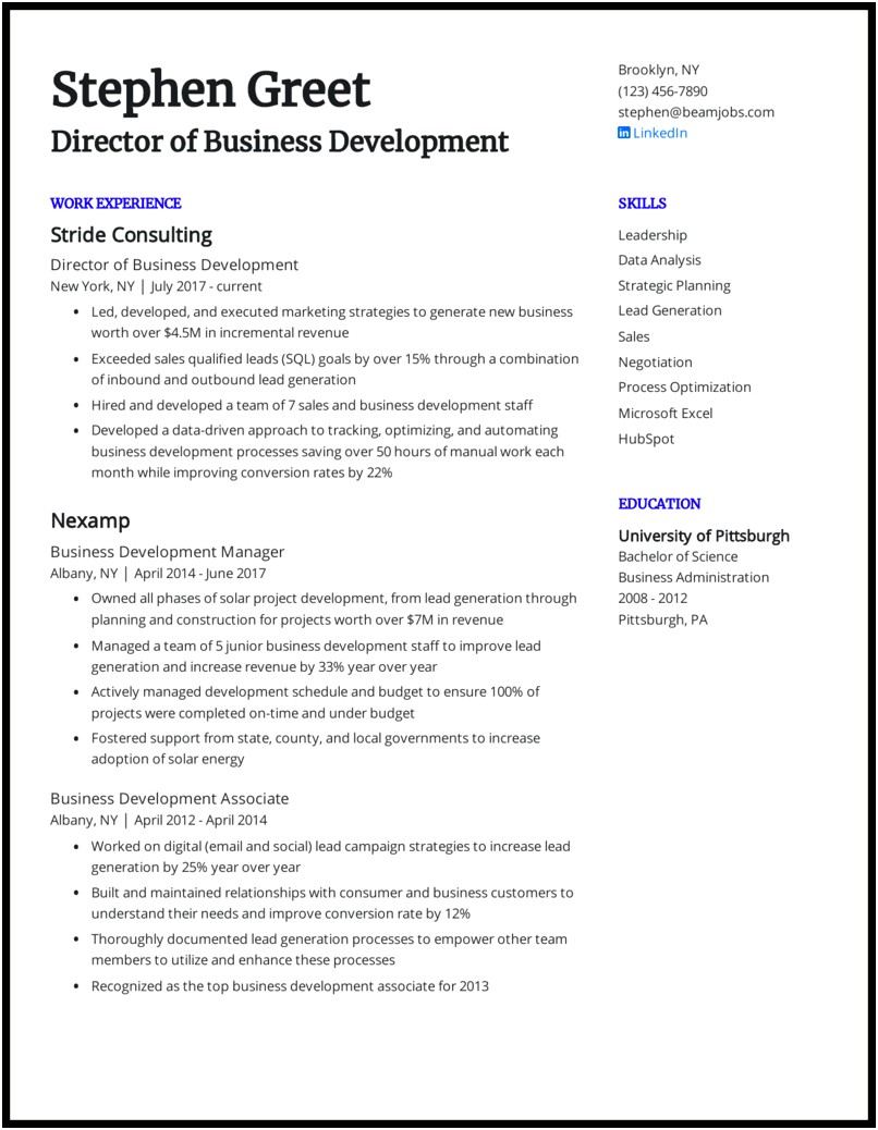 Sales Business Development Manager Resume