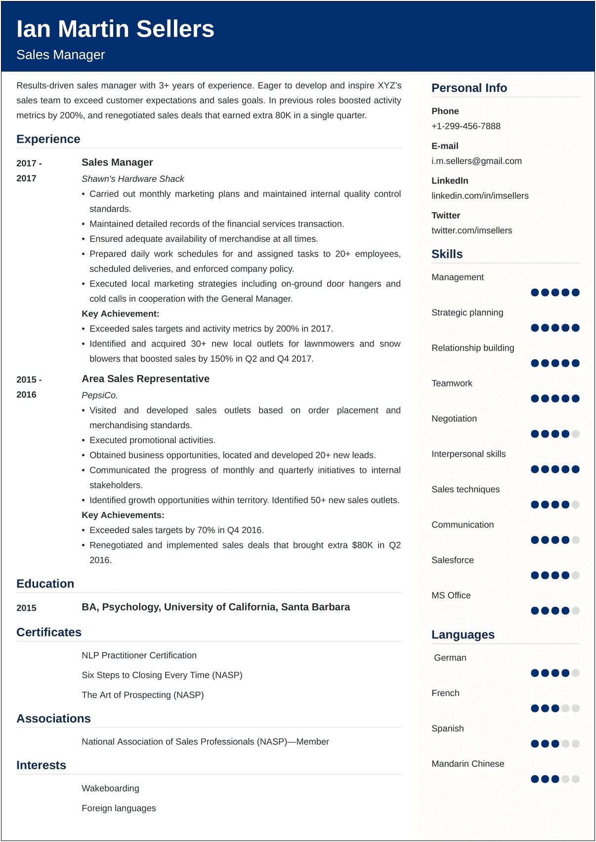Sales Manager Lead Resume Examples Saas