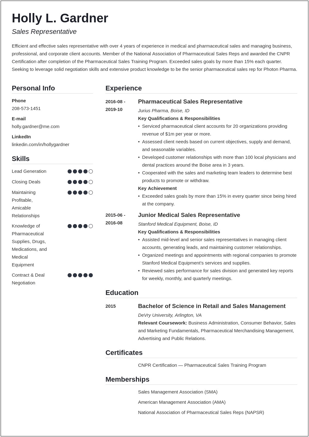 Sales Professional Summary Resume Sample