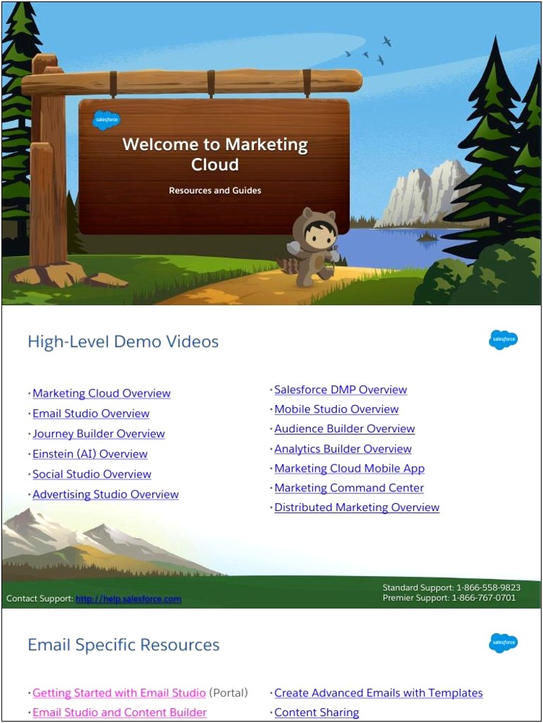 Salesforce Resume With Ad Studio Experience