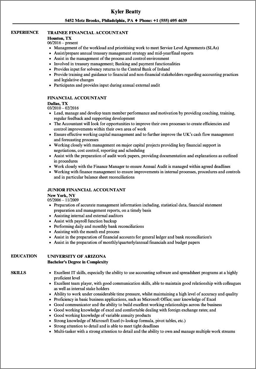 Sample Combination Resume For Accounting
