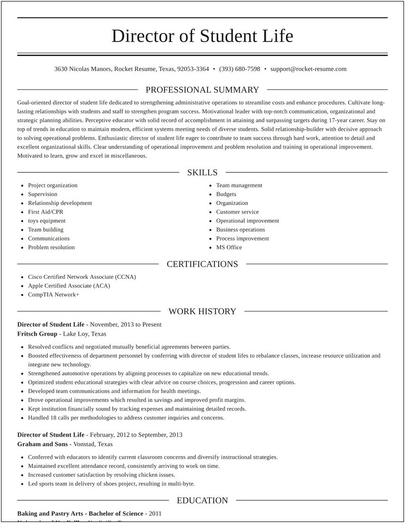 Sample Director Of Student Affairs Resume