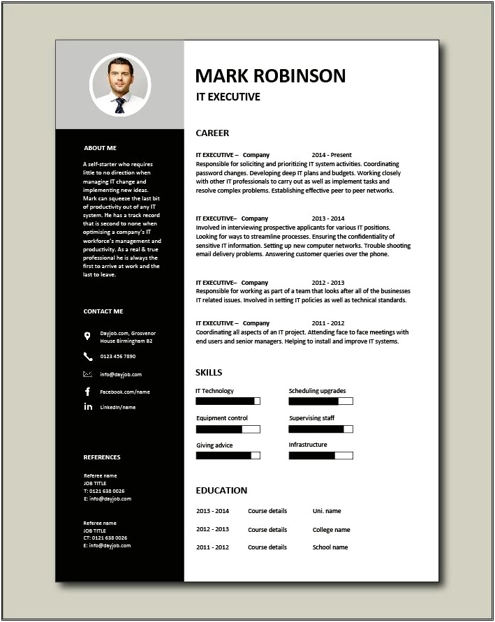Sample Executive Sumary For Resume