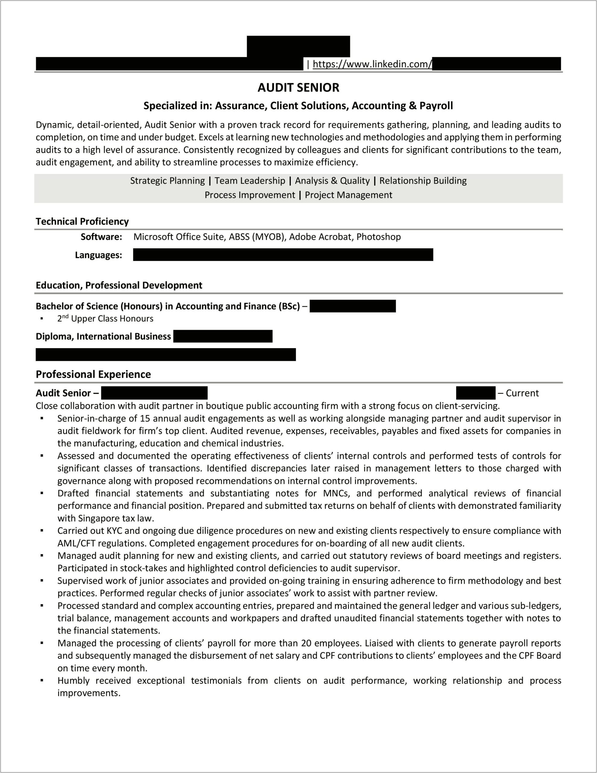 Sample It Audit Manager Resume
