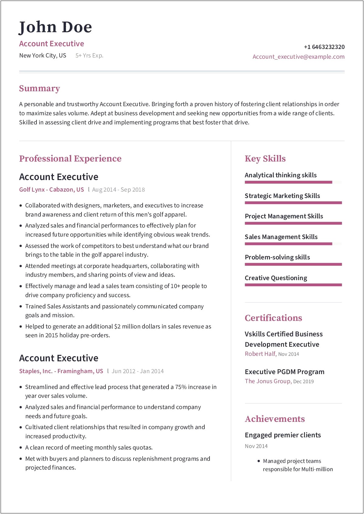Sample New Business Account Executive Resume