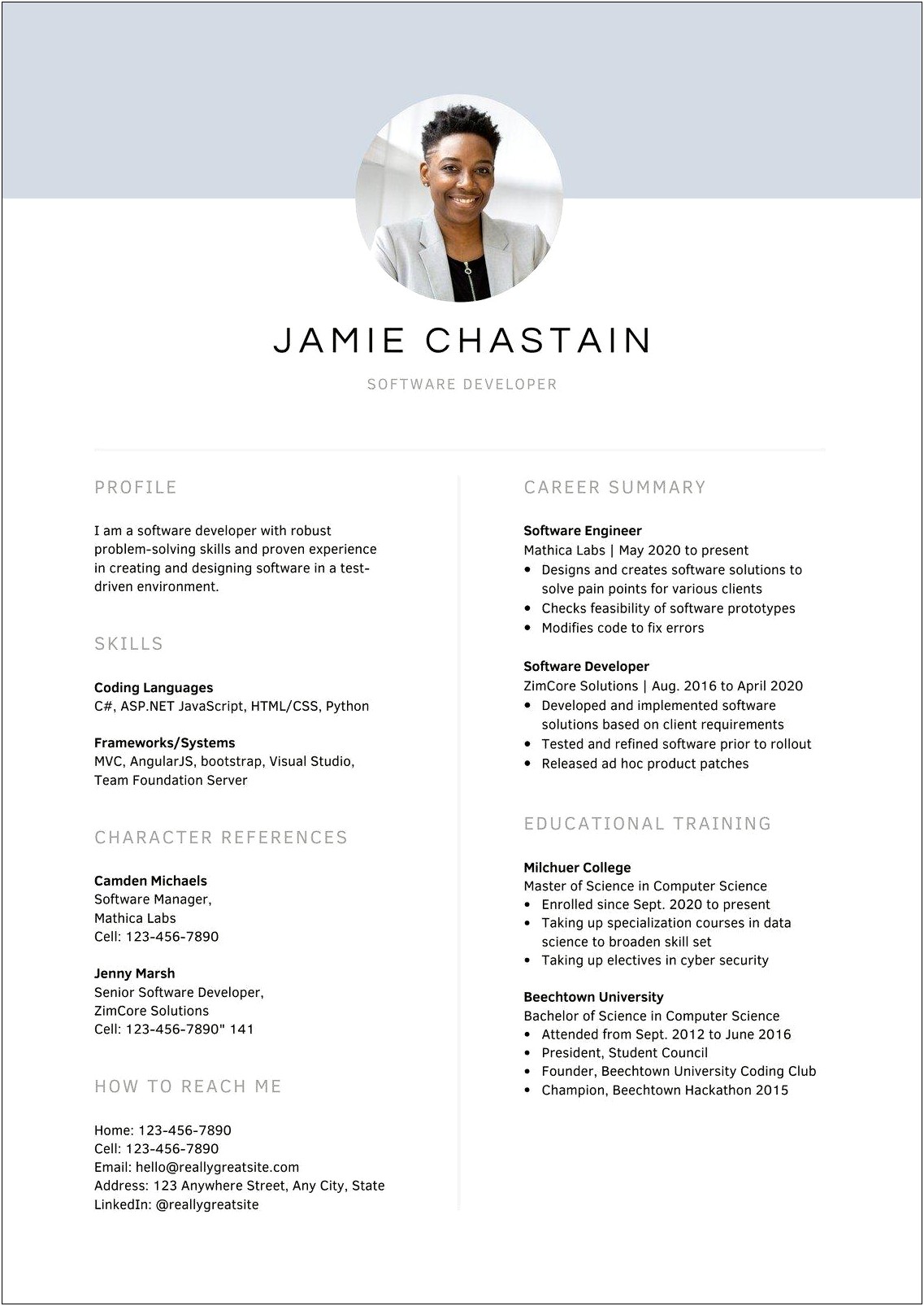Sample Of A Professional Business Resume