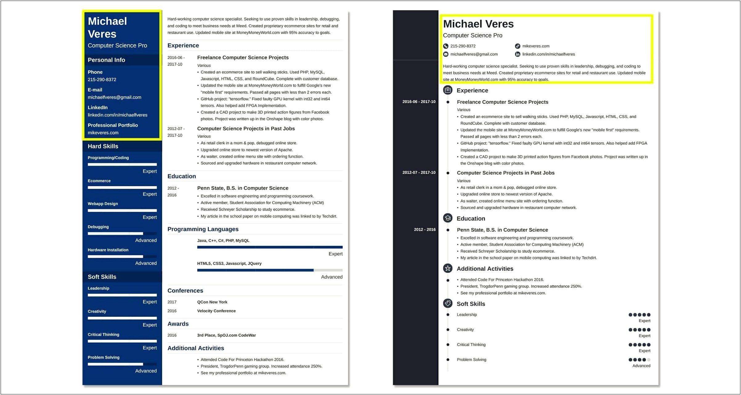 Sample Of A Resume That Stands Out