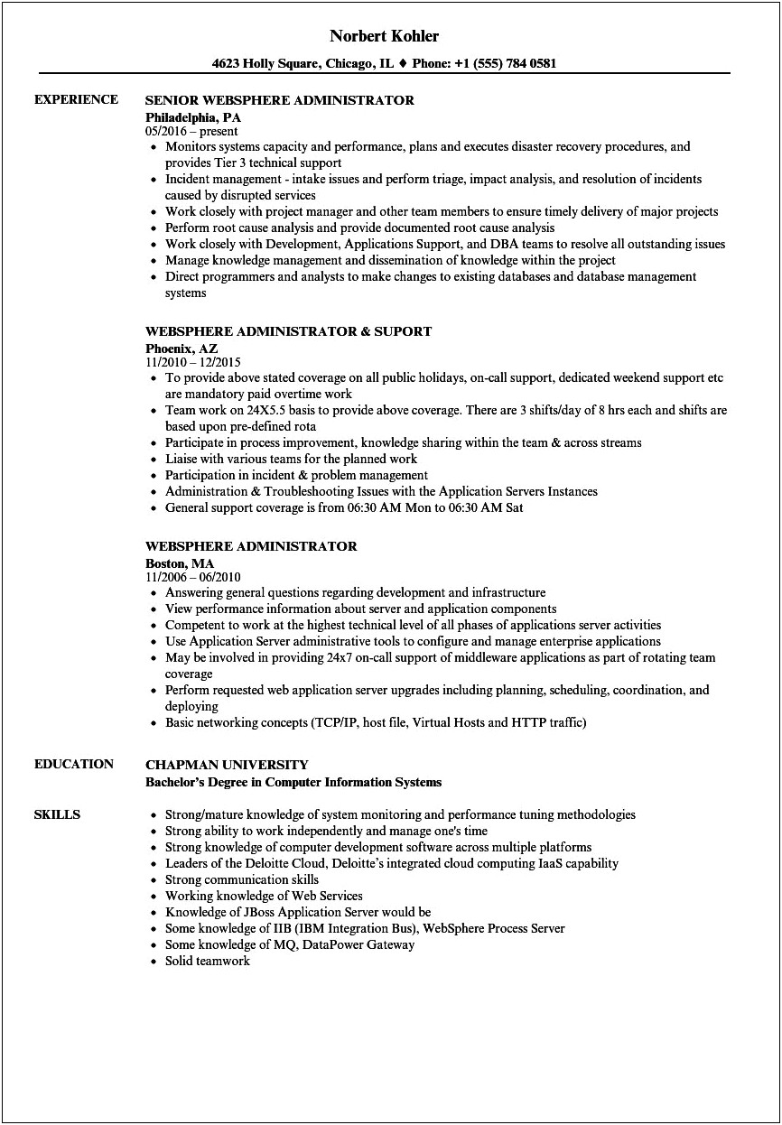 Sample Of Ibm Resume For Vmware