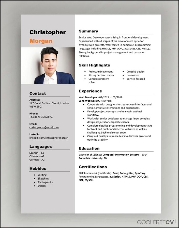 Sample Of Professional Resume Pdf
