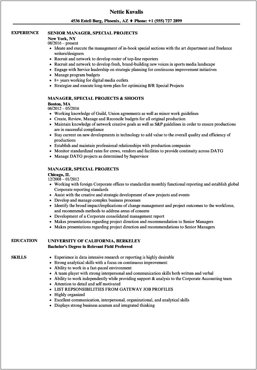 Sample Of Project Included In Resume