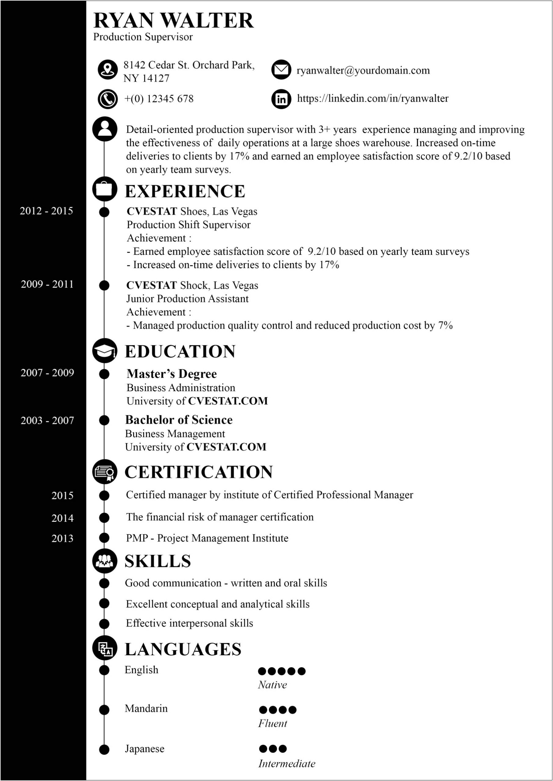 Sample Of Resume Executive Summary