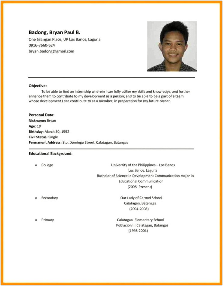 Sample Of Resume For It Job Application