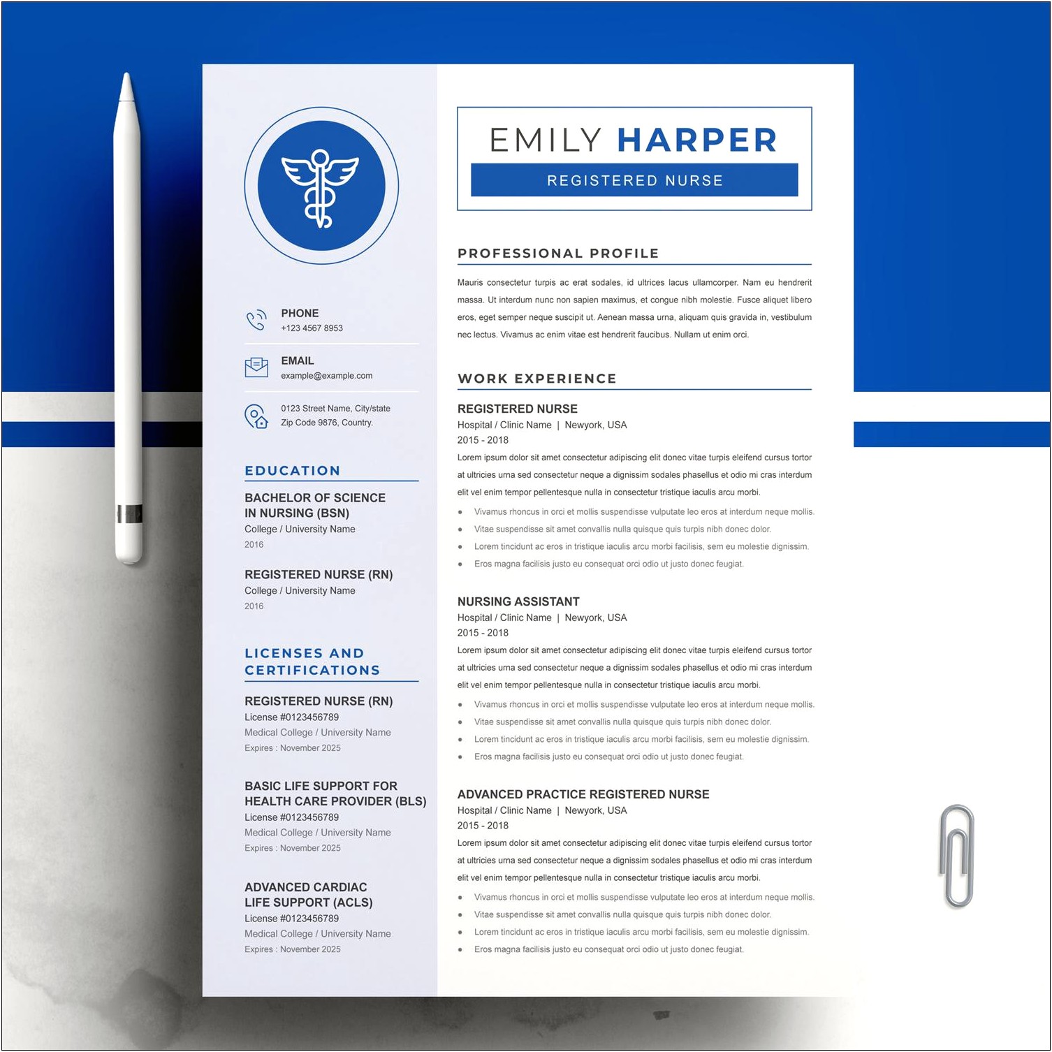 Sample Registered Nurse Resume Word Document