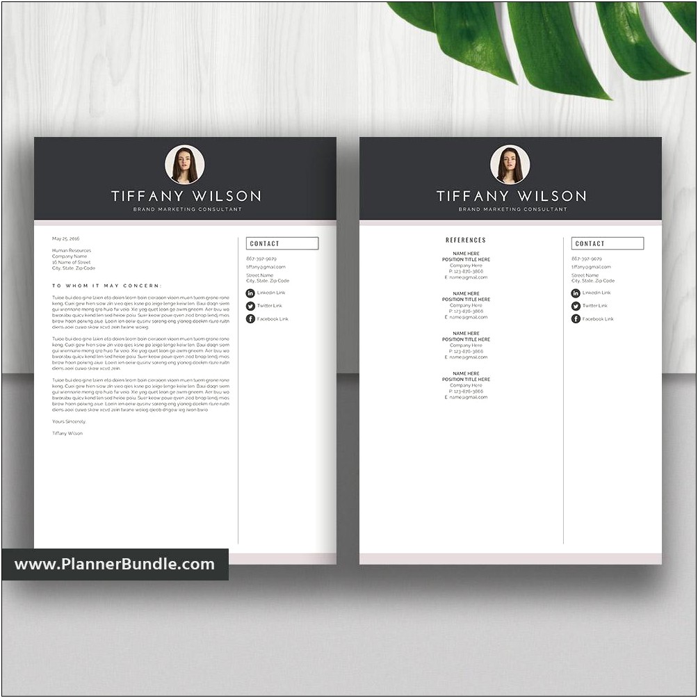 Sample Resume Cover Letter And References