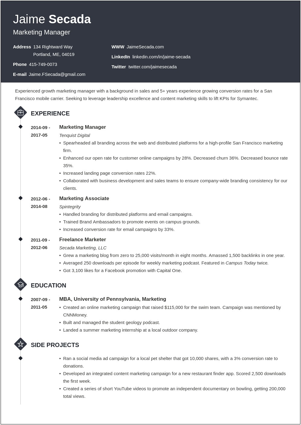 Sample Resume Director Of Sales And Marketing