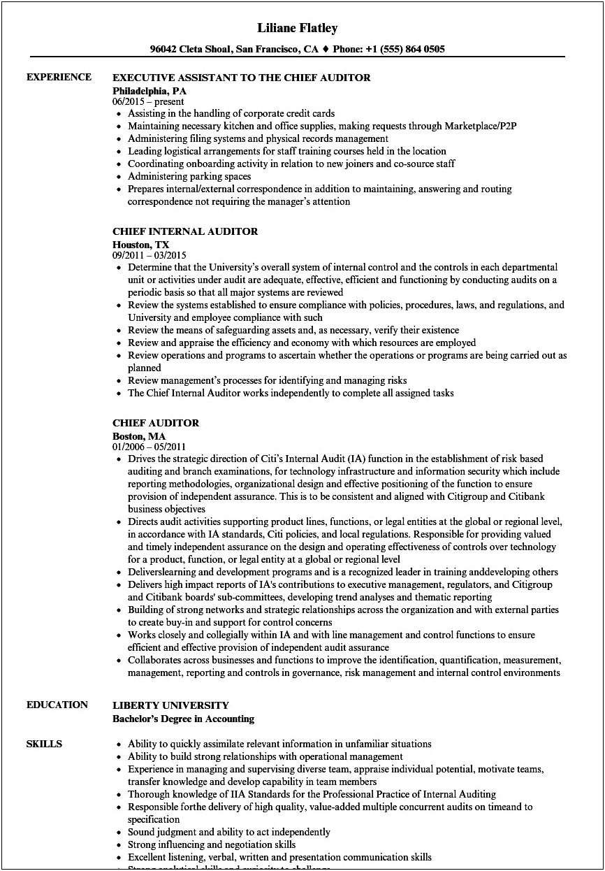 Sample Resume For Audit Director