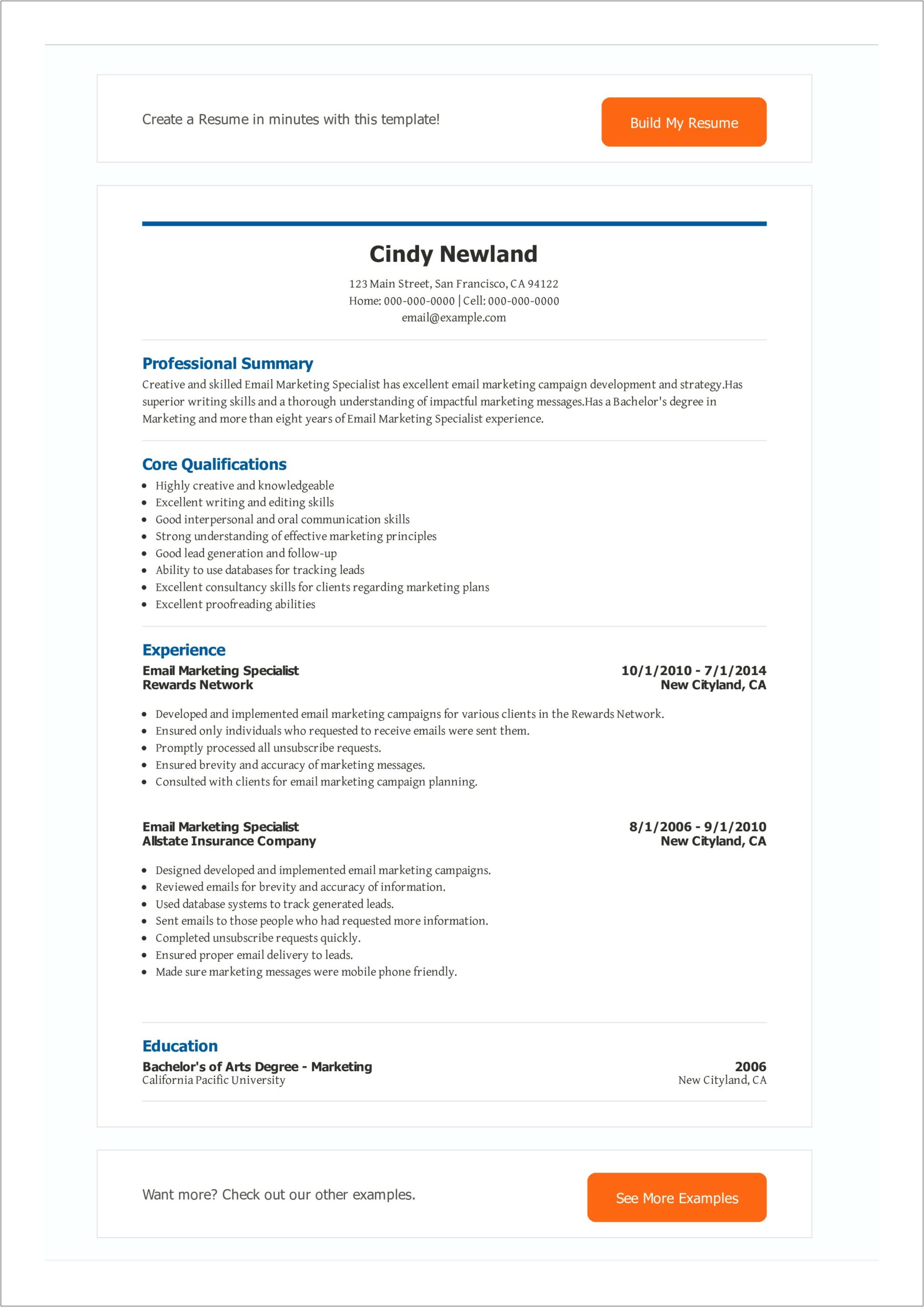Sample Resume For Email Marketing