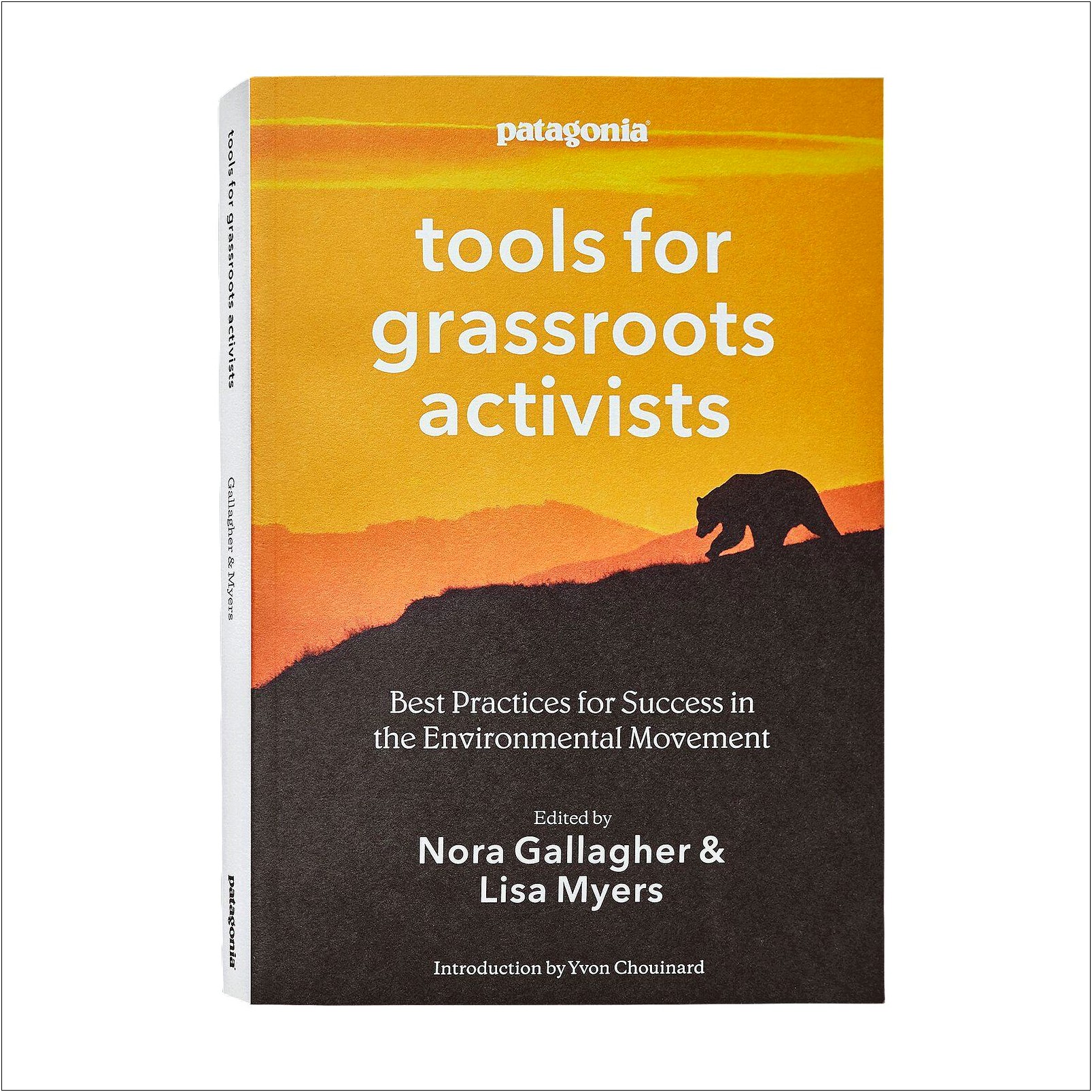 Sample Resume Grass Roots Activist