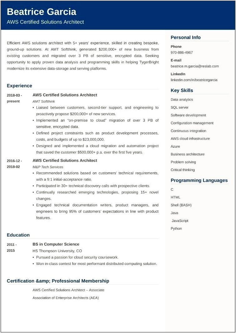 Sample Resume Of Enterprise Architect