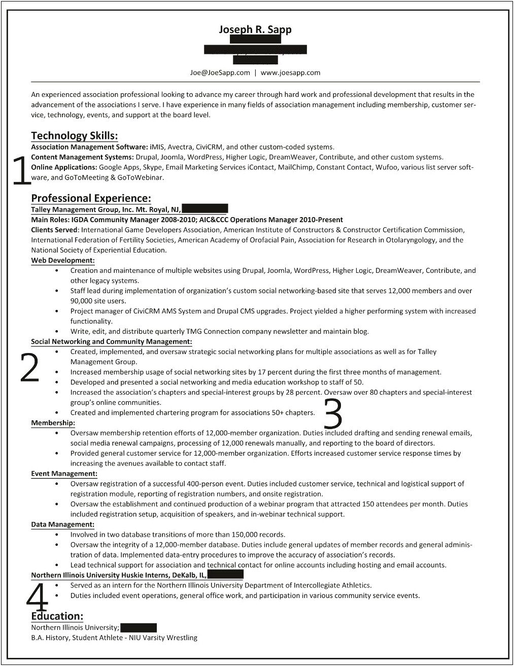 Sample Resume Professional Overview Examples