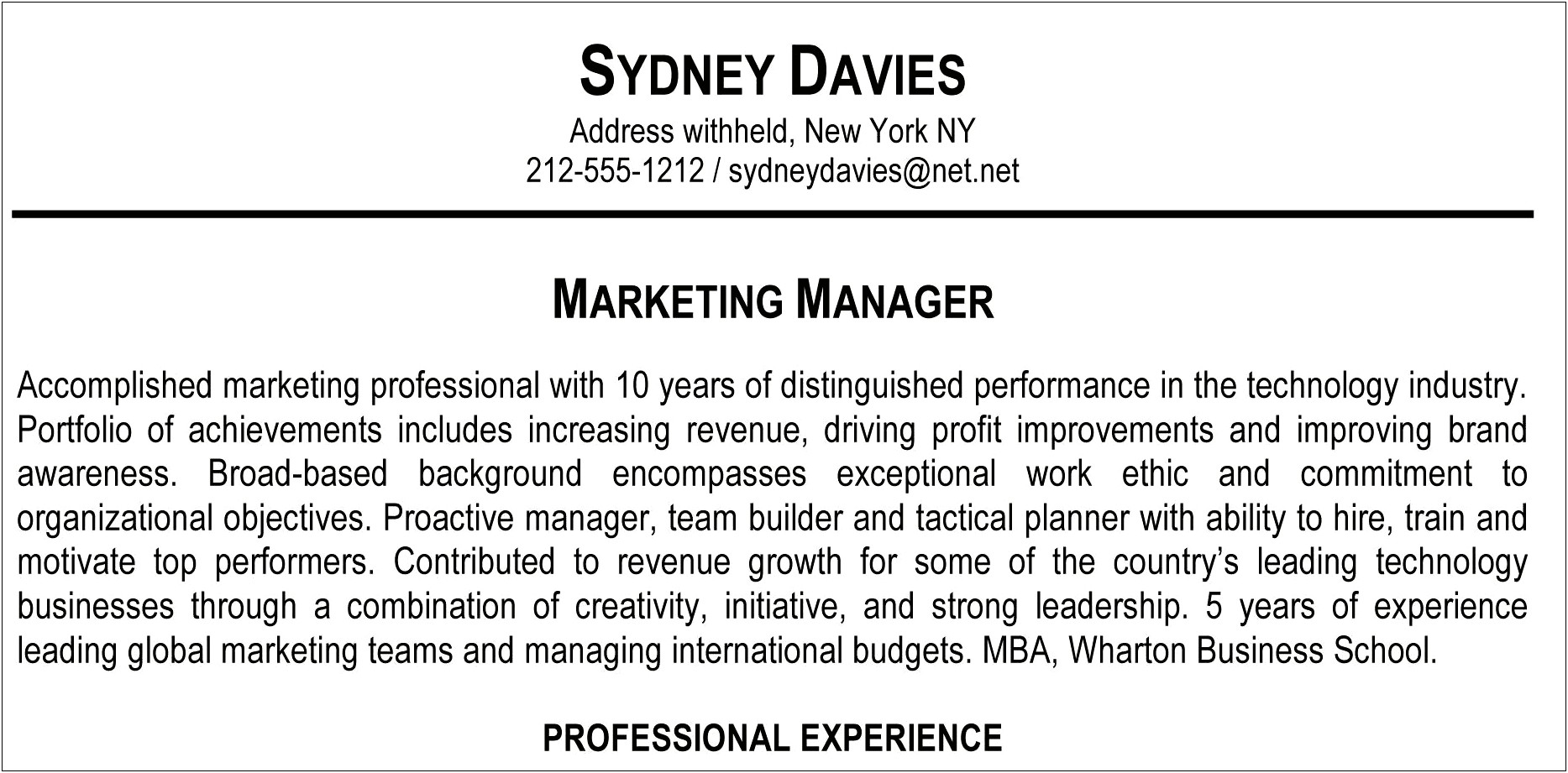 Sample Resume Professional Synopsis Example