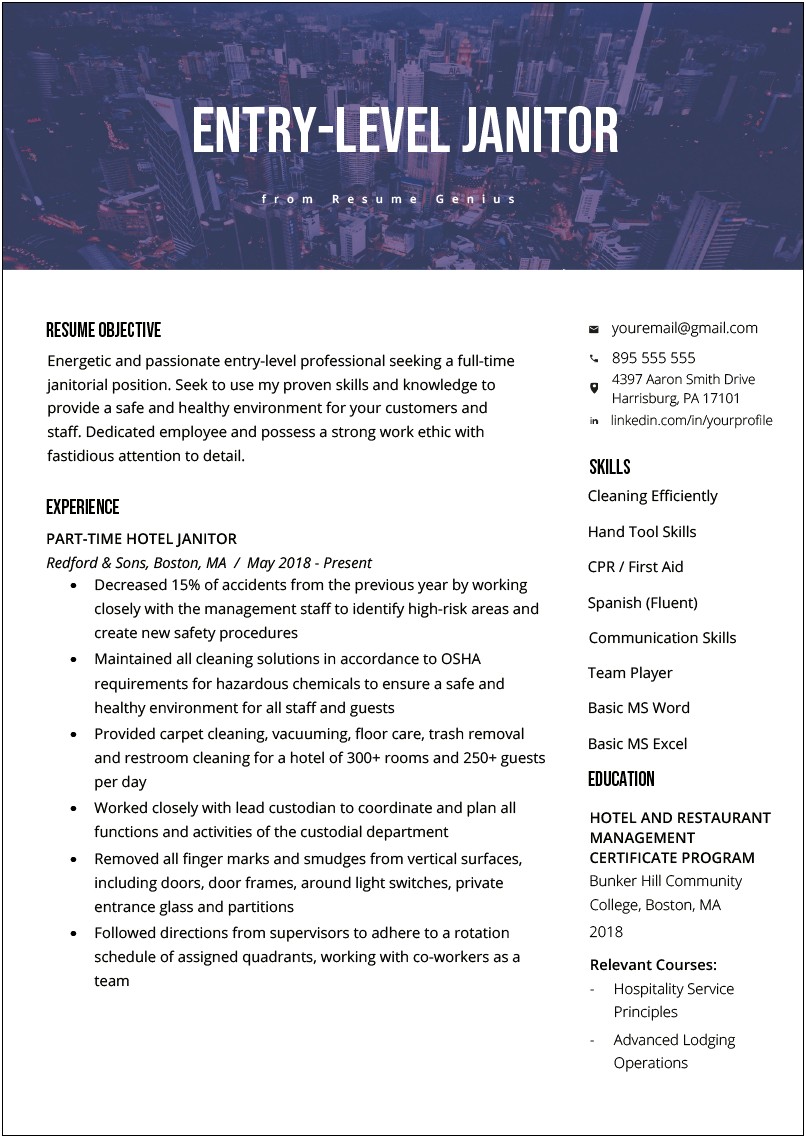 Sample Resumes Entry Level Examples