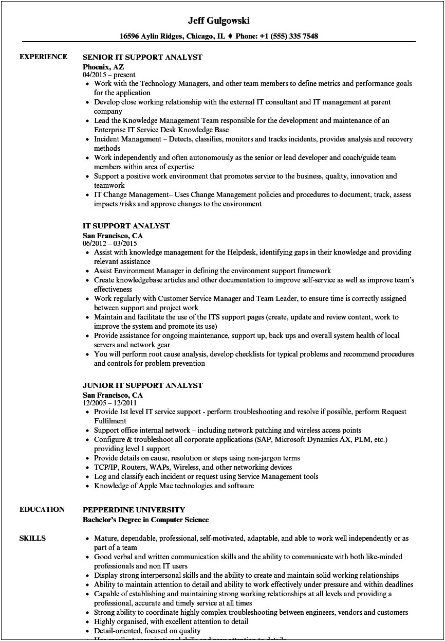 Sample Resumes For Application Support