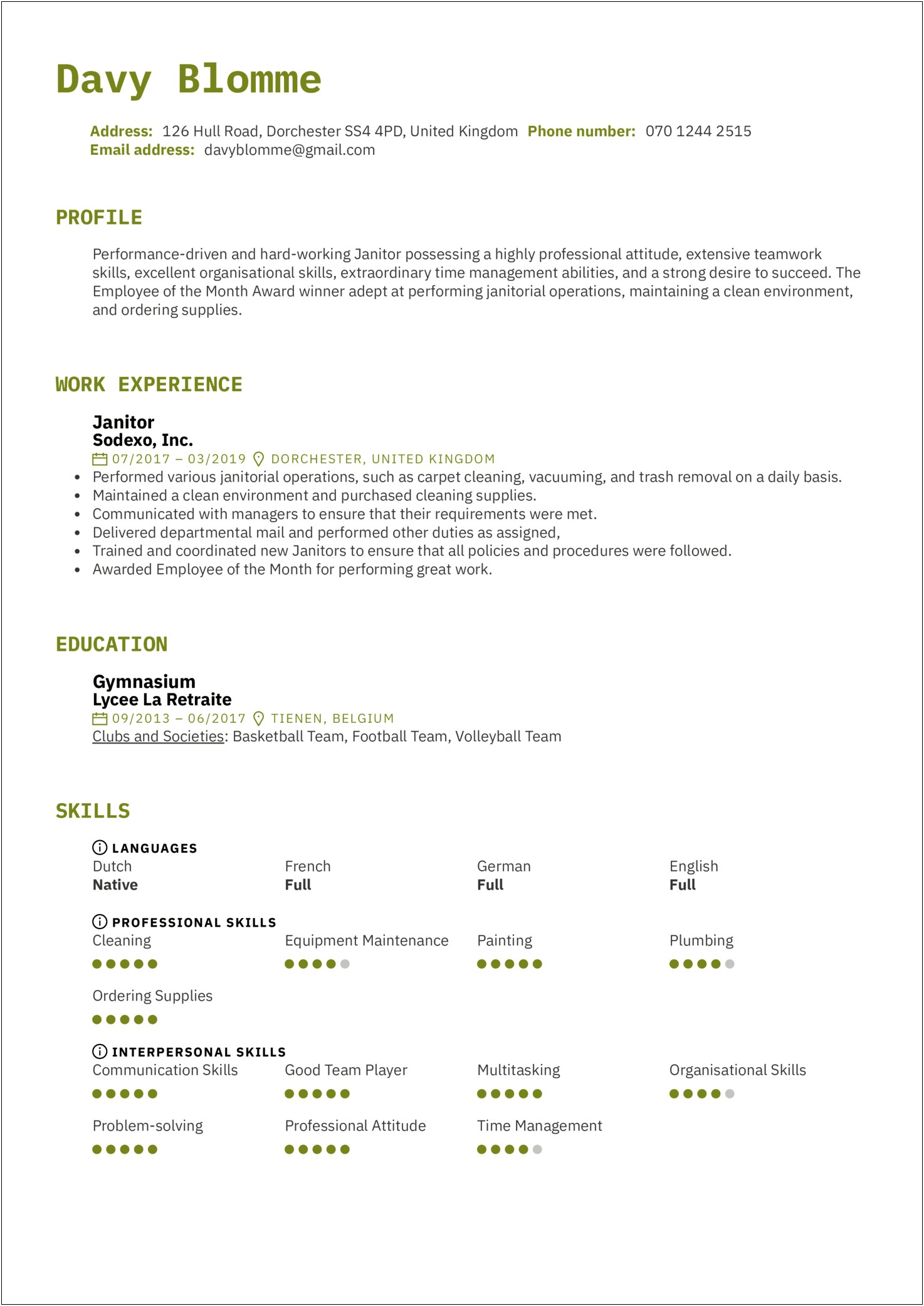 Sample Resumes For Janitor Positions