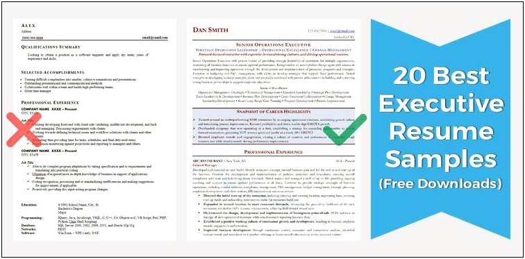 Sample Resumes With Exexcutive Summaries
