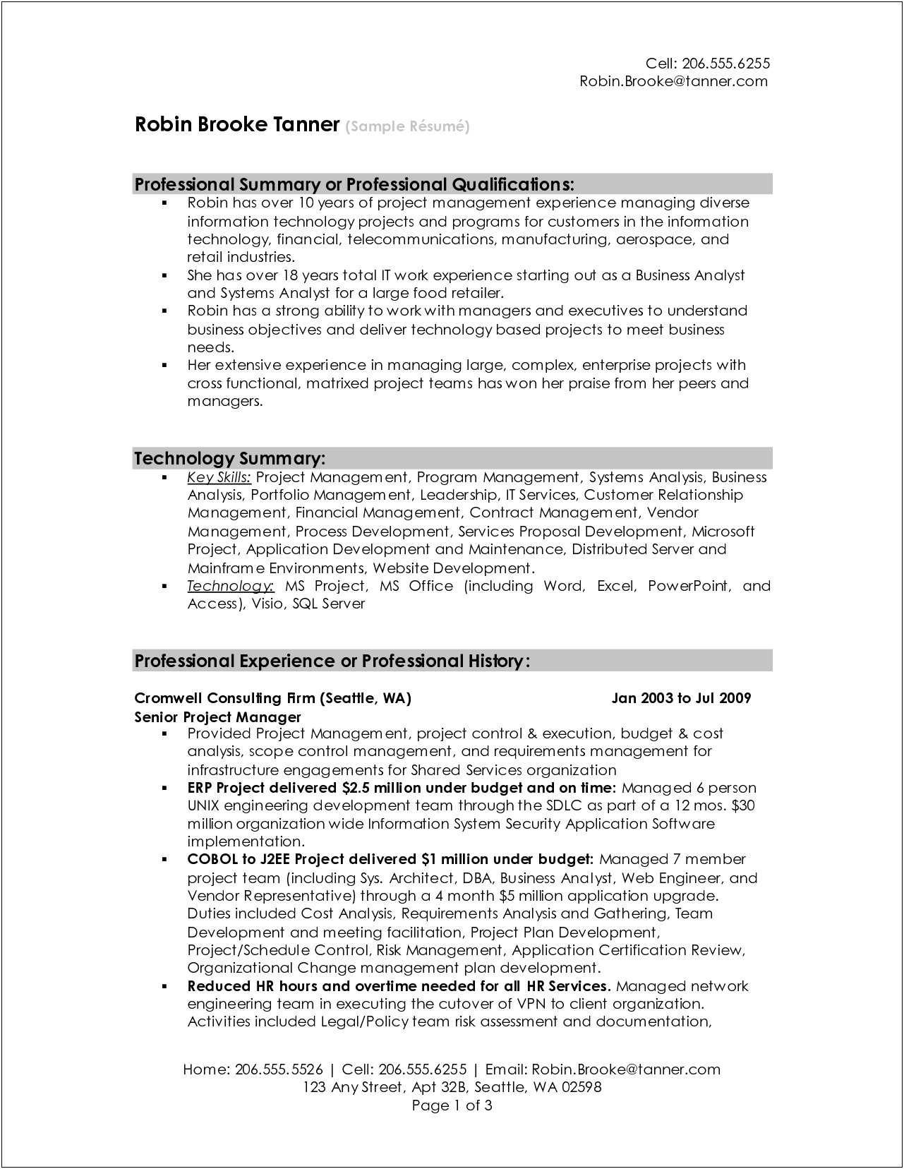Sample Resumes With Professional Overview