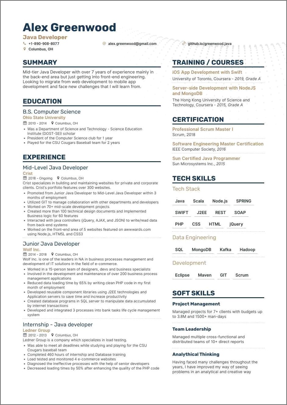 Sample Senior Java Developer Resume