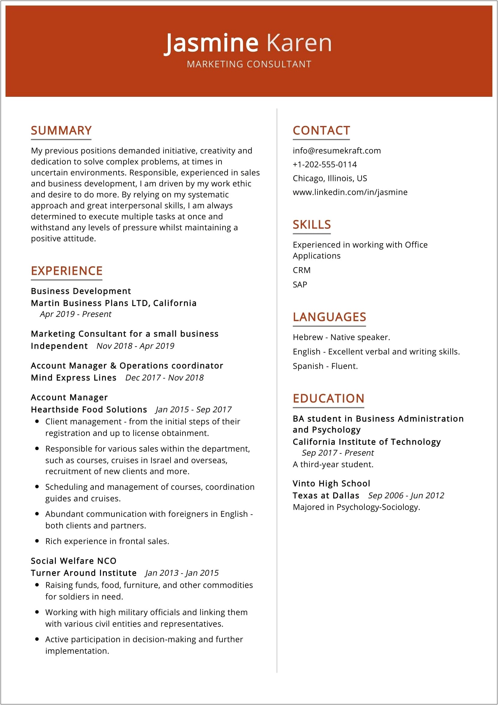 Sample Senior Sales Consultant Resume