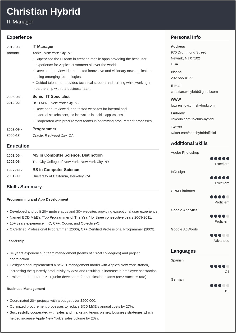 Samples Of Combined Resume Format