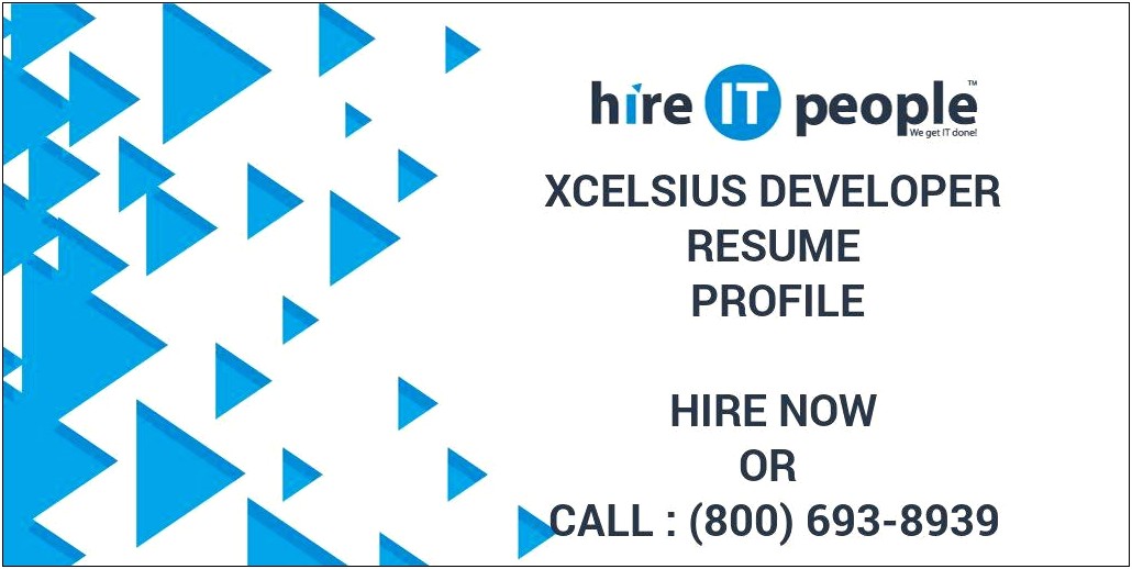 Sap Business Objects Xcelsius Resume