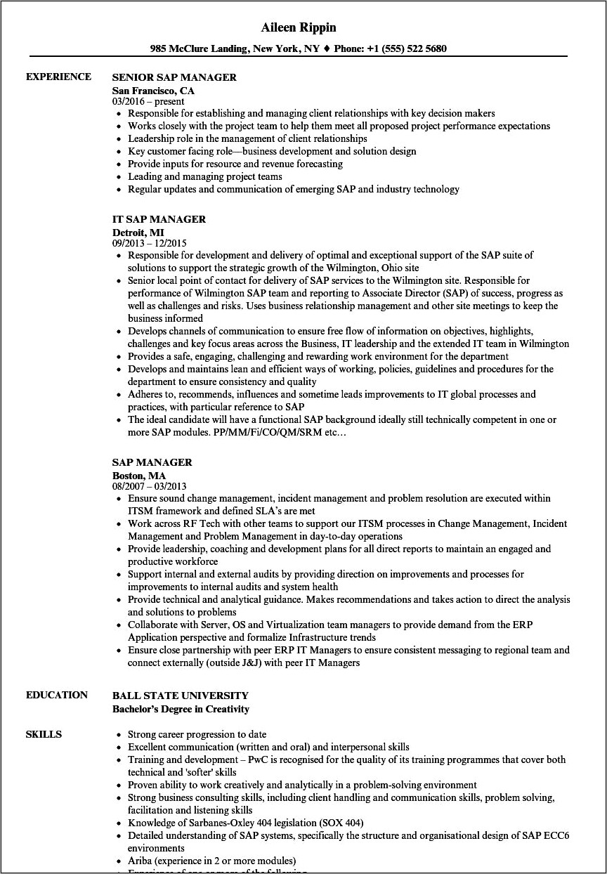 Sap Project Manager Resume Examples