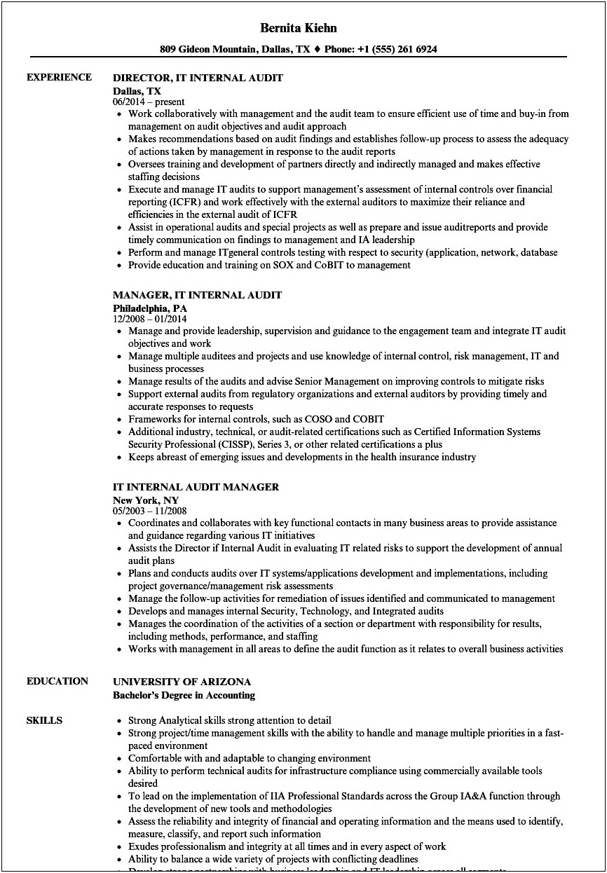Sarbanes Oxley Auditor Resume Example