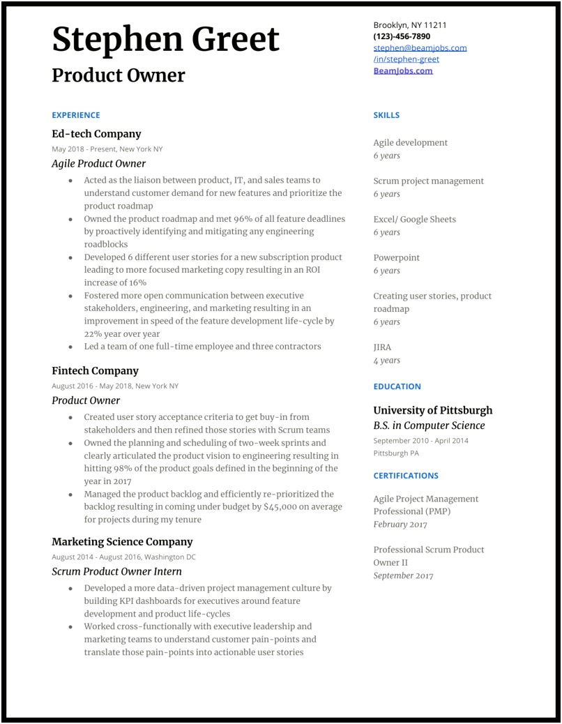 Scrum Product Owner Resume Examples