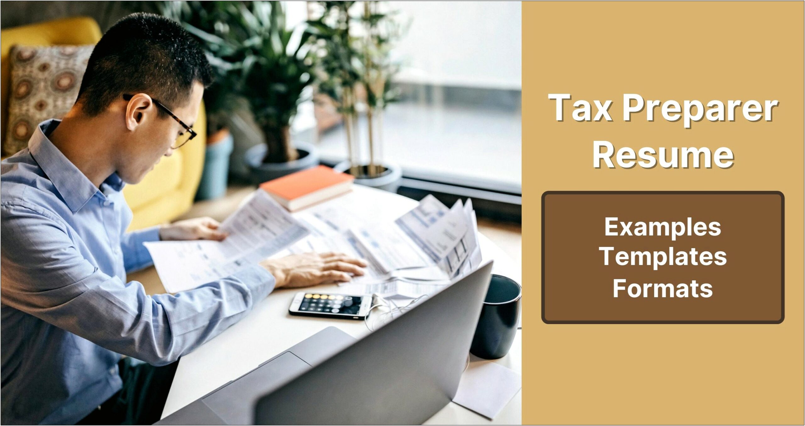 Seasonal Tax Preparer Resume Sample