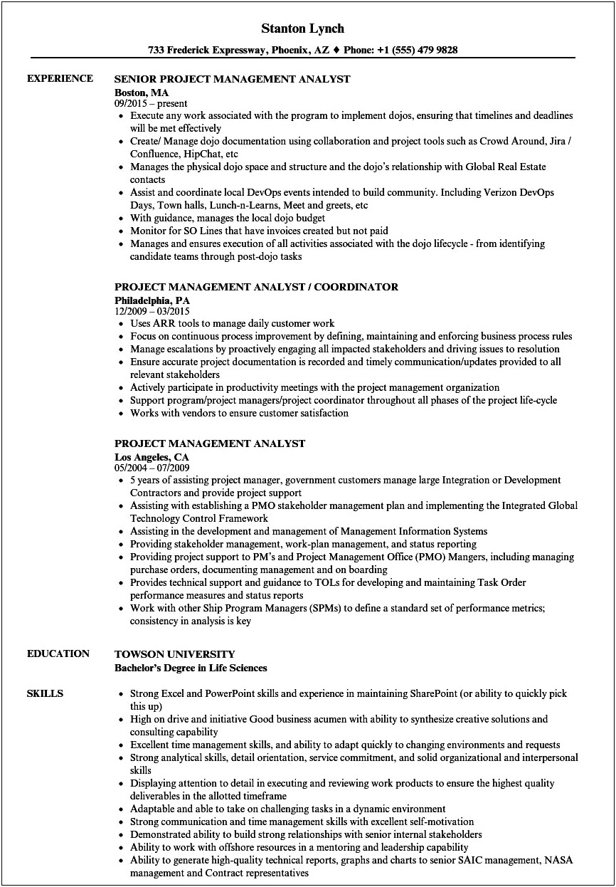 Senior Analyst Project Manager Resume