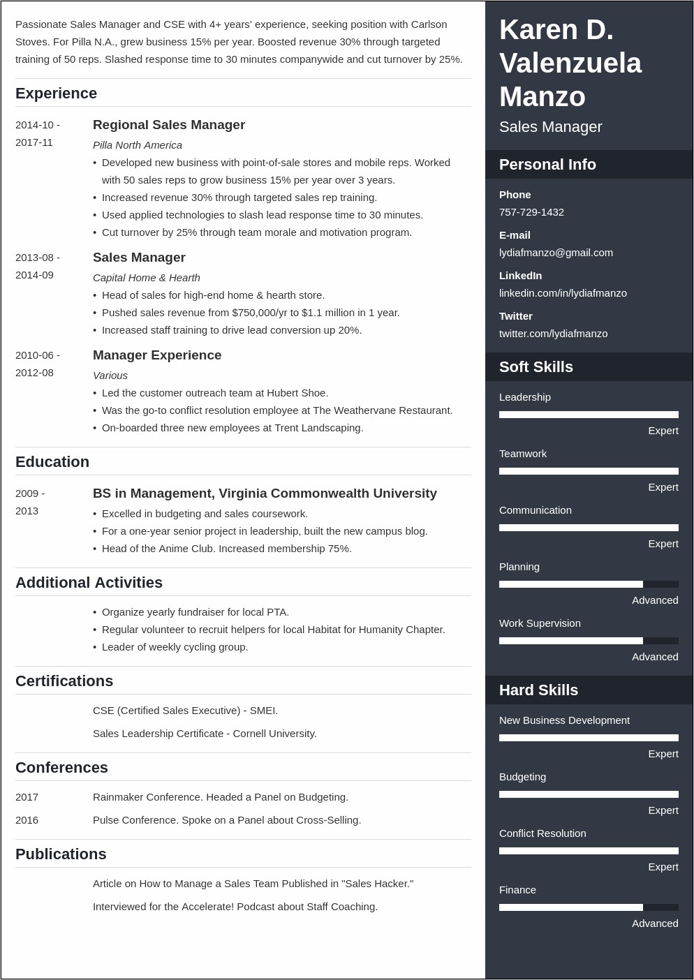 Senior It Manager Resume Template