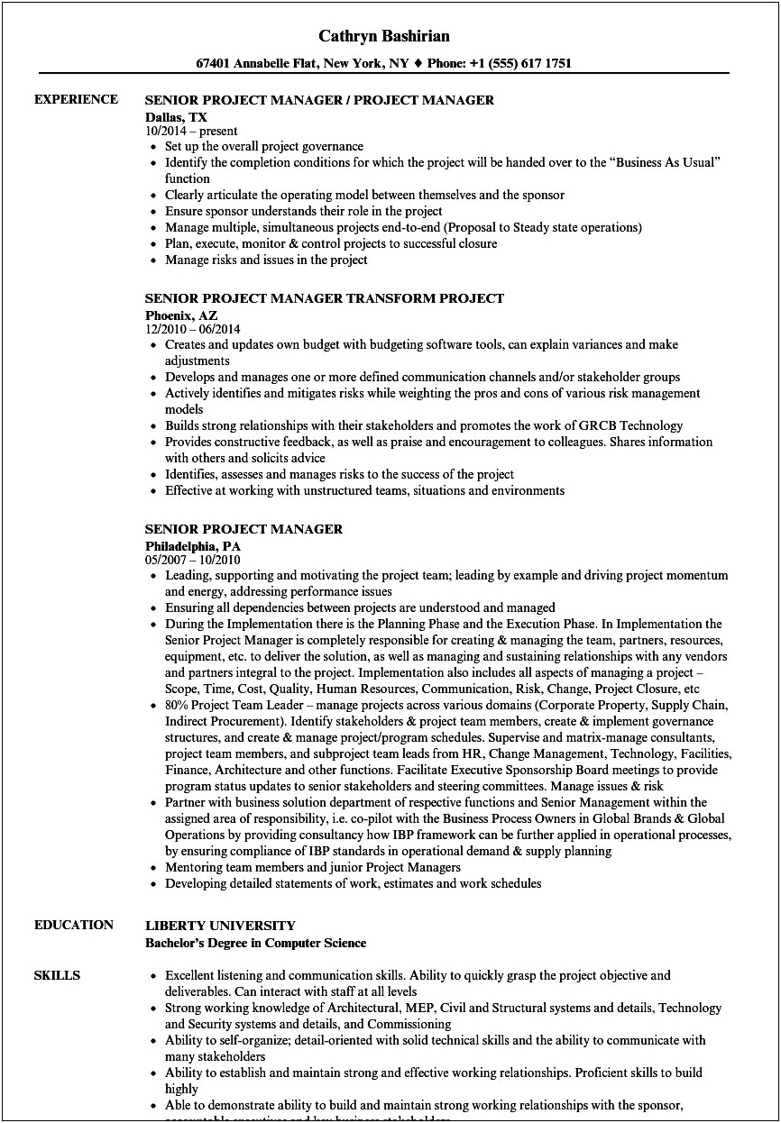 Senior Project Manager Resume Template
