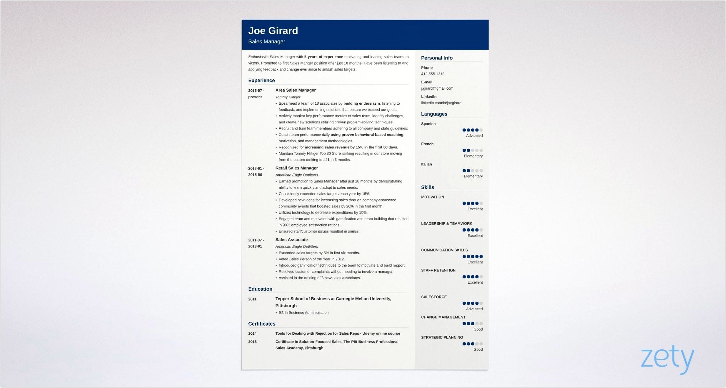 Senior Sales Manager Resume Examples