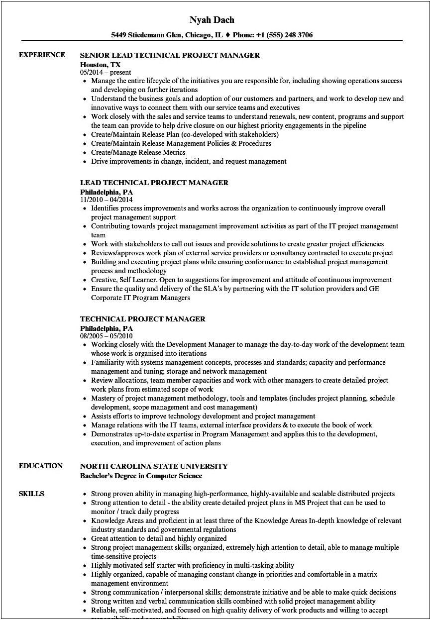 Senior Technical Project Manager Resume