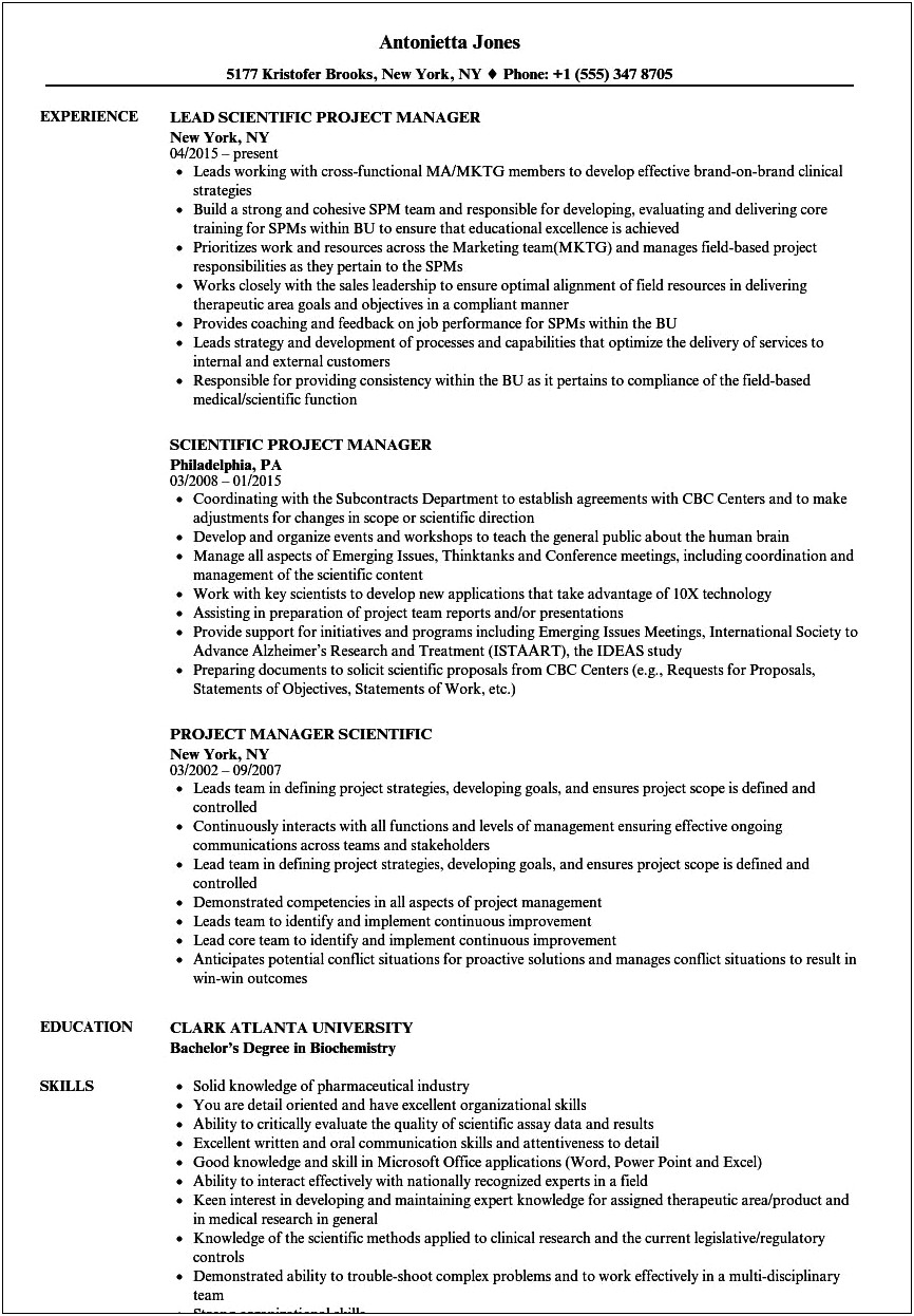 Sharepoint Project Lead Resume Sample