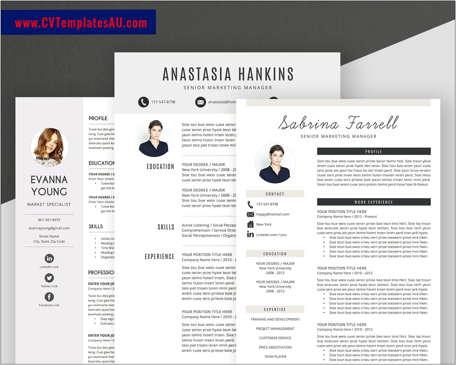Simple Resume Examples For Professionals