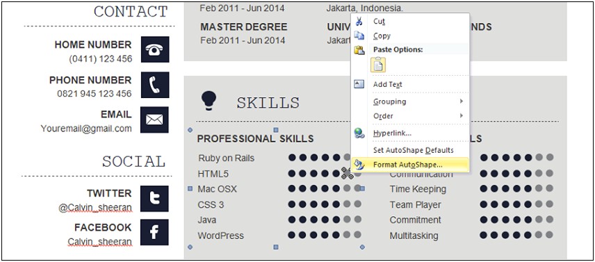 Skill Level Icon In Resume